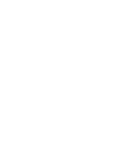 Storm Software Group